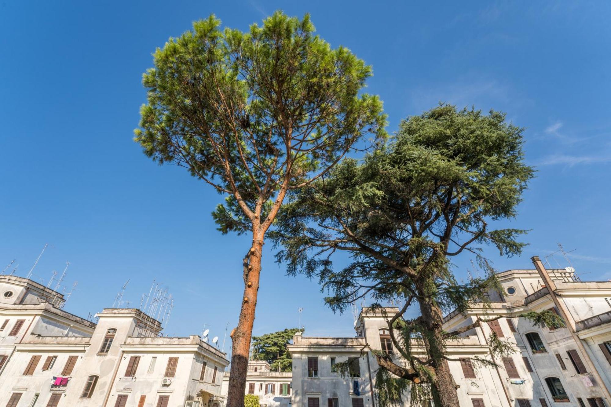 Fisher'S Apartment In Testaccio Roma Esterno foto